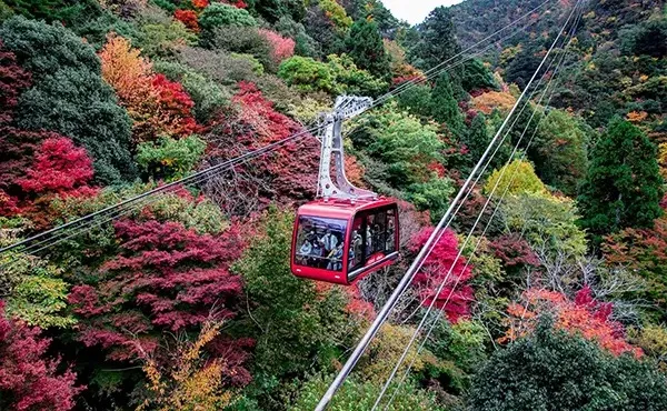 六甲有马索道