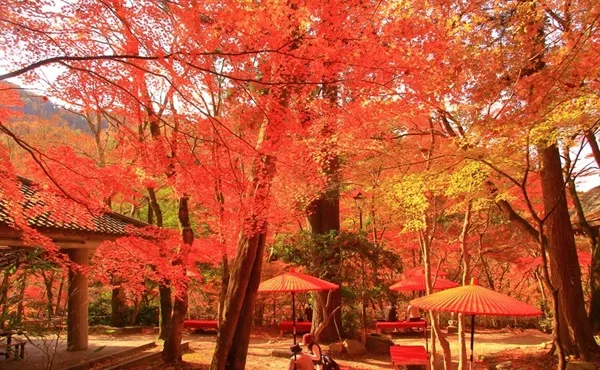 瑞宝寺公园